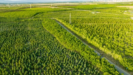 張掖奧林匹克森林公園景色怡人