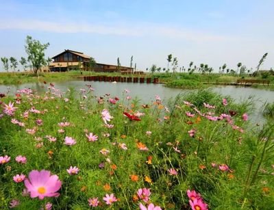 好消息~浙江又有兩處濕地公園正式成為“國家級”