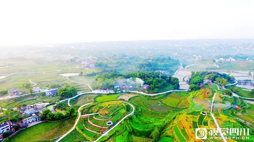 瀘州 實(shí)施水土流失綜合治理 建成生態(tài)小流域