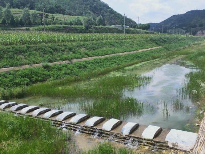 陜西有色西安勘察院助力黃河流域綠色發(fā)展延長縣生態(tài)保護(hù)修復(fù)紀(jì)實