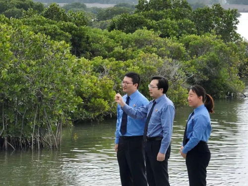 湛江紅樹林保護成效 亮相 迪拜