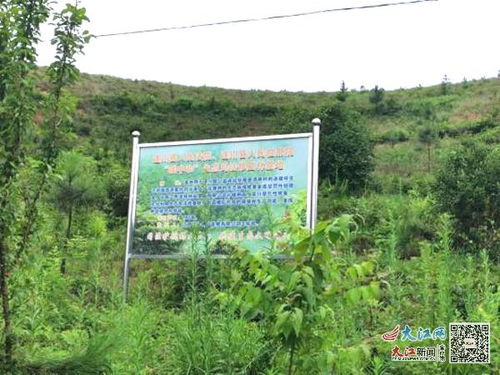 遂川 昔日毀林今朝植樹 生態(tài)司法守護青山綠意 圖